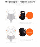 2-in-1 Waist Cincher Trainer and Shapewear Plus Size 2-14 US